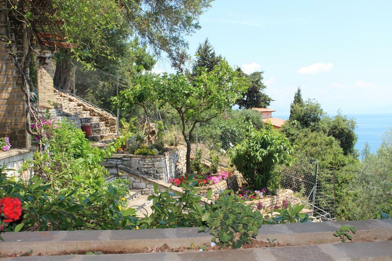 Aris Studio Corfu Pyrgi  Exteriör bild